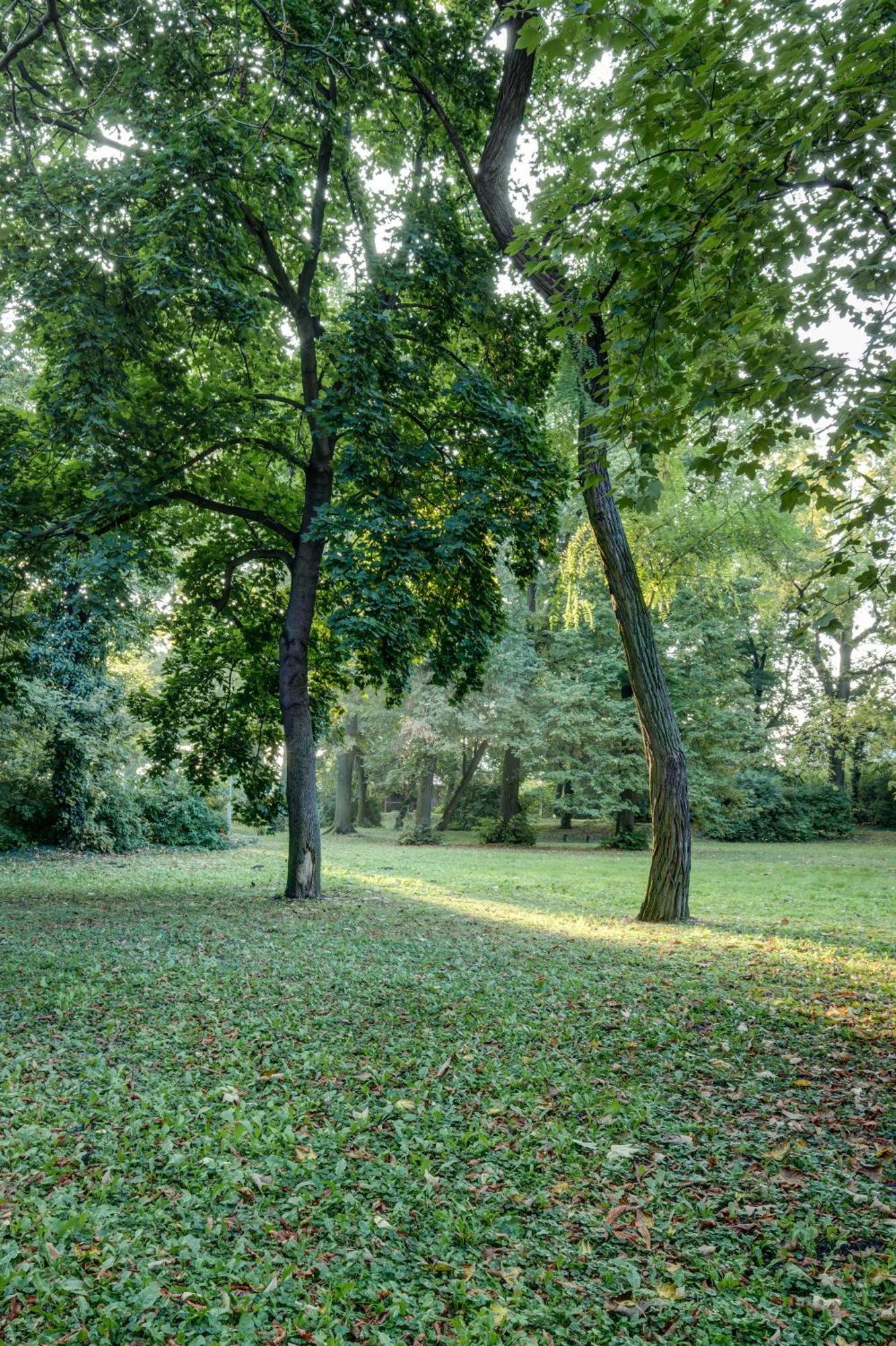 Vila Austerlitz Dış mekan fotoğraf